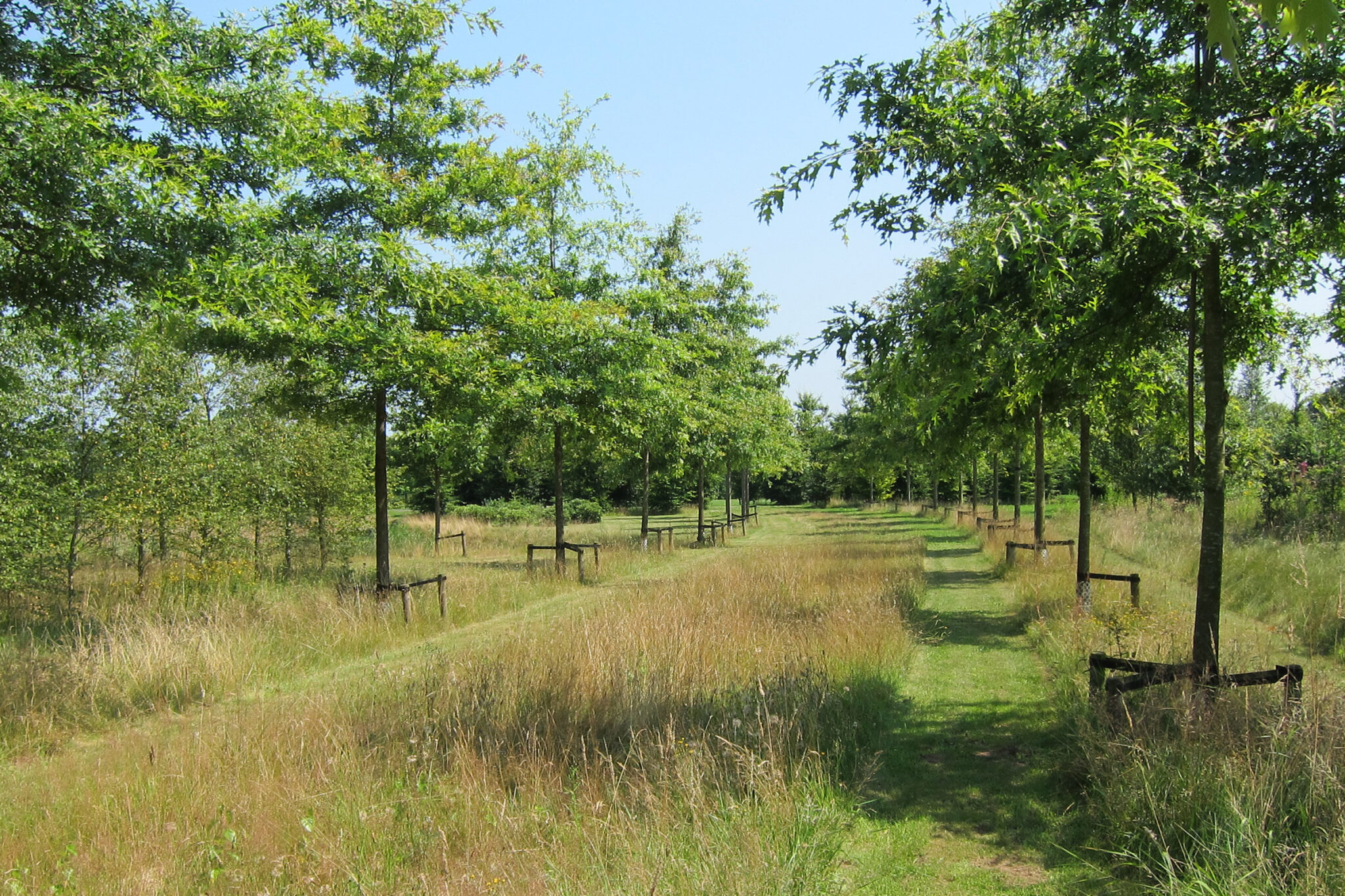 b-03_baljon_buitenplaats_prinsenveld