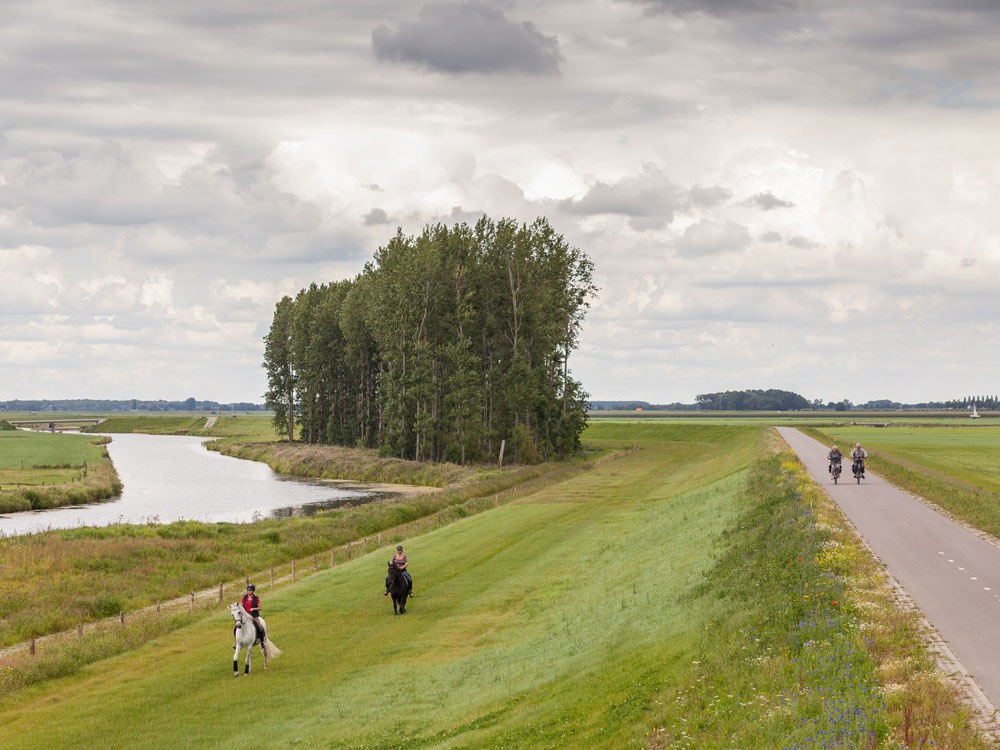 2018-07-02-165161-nieuws