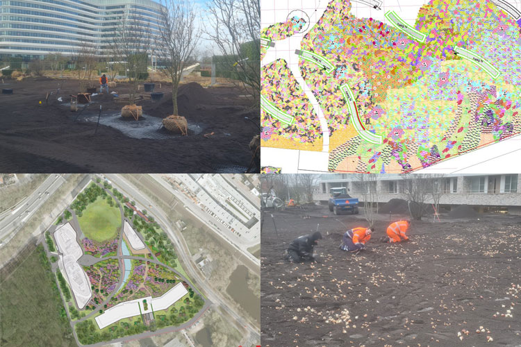 plattegrond van de stadstuin, een inzoom op het beplantingsplan en foto's van de uitvoering, een veld met bollen en het planten van de meerstammige bomen