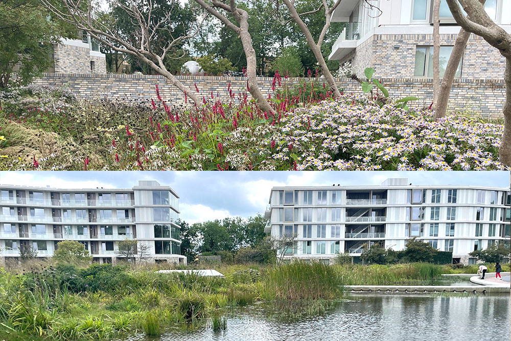 meerstammige bomen met weelderige onderbeplanting en zicht over het water op het gebouw met aan de voet de tuin