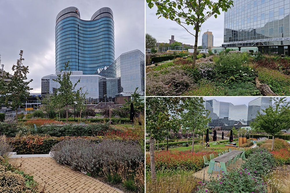 prachtige herfstkleuren in de Rabotuin